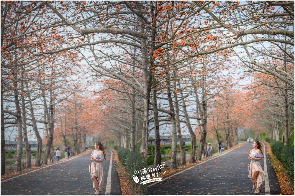 2023二林東螺溪木棉花道》彰化二林木棉花季最新花況,浪漫綿長的紅色花街！