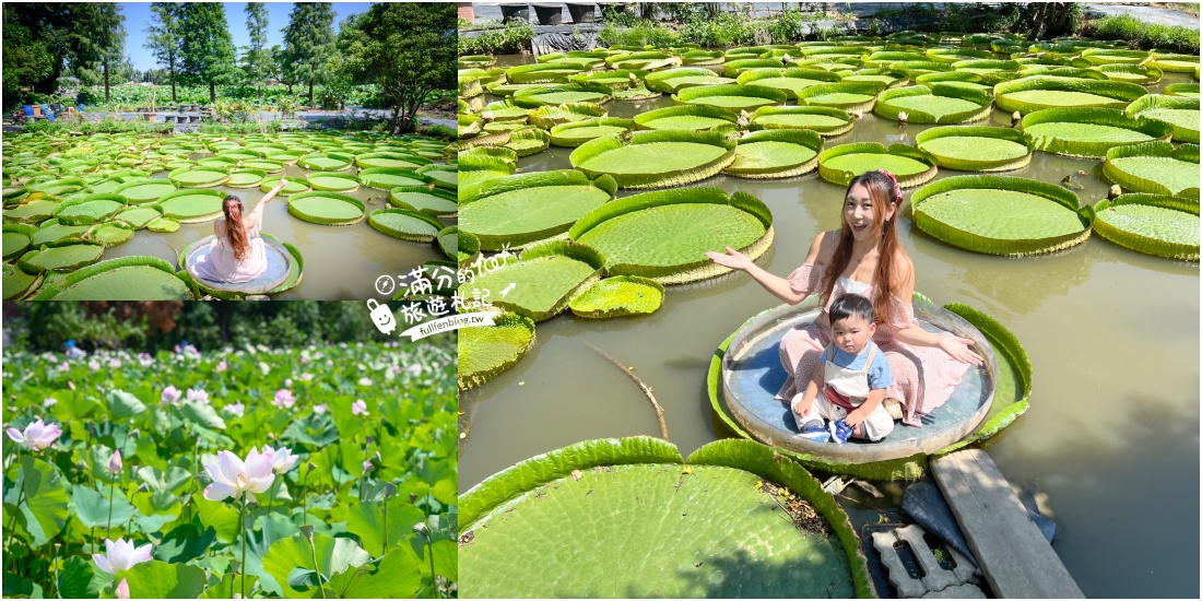 【2025觀音景點一日遊】TOP10桃園觀音景點推薦,逛花園.玩農場.海看玩沙超放鬆~地名很佛系,景點很好玩!