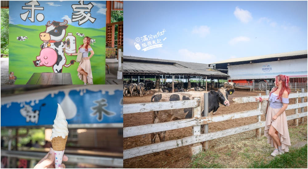 【2024彰化農場景點懶人包】15間彰化親子農場牧場,近距離與可愛動物互動,還能野餐下午茶!