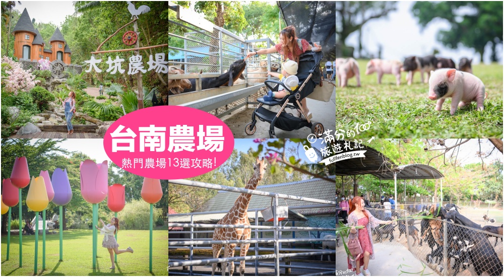 【2024台南農場景點懶人包】13間台南農場牧場景點推薦.台南親子景點探索新知,與動物們玩起來!