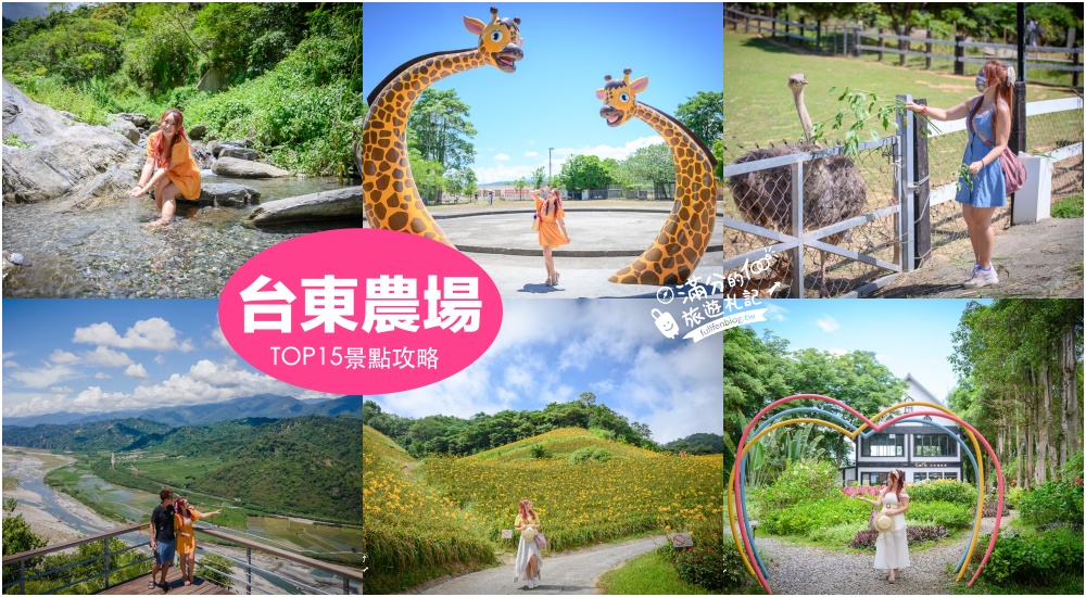 【2025台東農場景點懶人包】TOP15間台東農場牧場.森林公園,台東親子出遊必訪,探索生態親近小動物! @滿分的旅遊札記