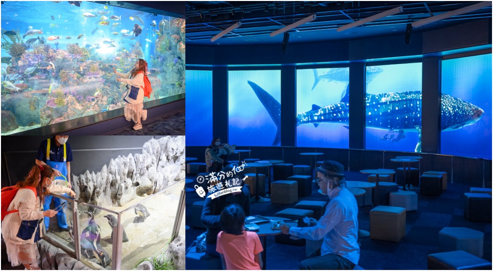沖繩景點|DMM Kariyushi水族館玩樂攻略.餵企鵝.餵樹懶.摸鯊魚,拍海蝕洞~沖繩最美海底咖啡館,順遊路線規畫! @滿分的旅遊札記