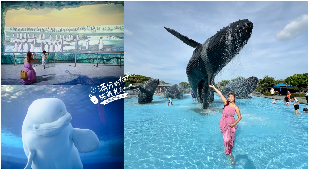 【2025屏東海生館玩樂攻略】最新門票資訊&#038;鯨魚廣場戲水區,看大白鯨.企鵝餵食秀.VR海世界.夜宿海生館.走進海底隧道! @滿分的旅遊札記