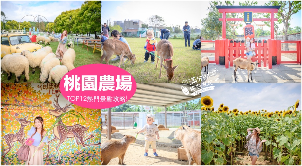 延伸閱讀：【2025桃園農場景點懶人包】TOP15間桃園親子農場推薦,親近水豚.梅花鹿.綿羊.草泥馬,親子探索動物生態好去處!