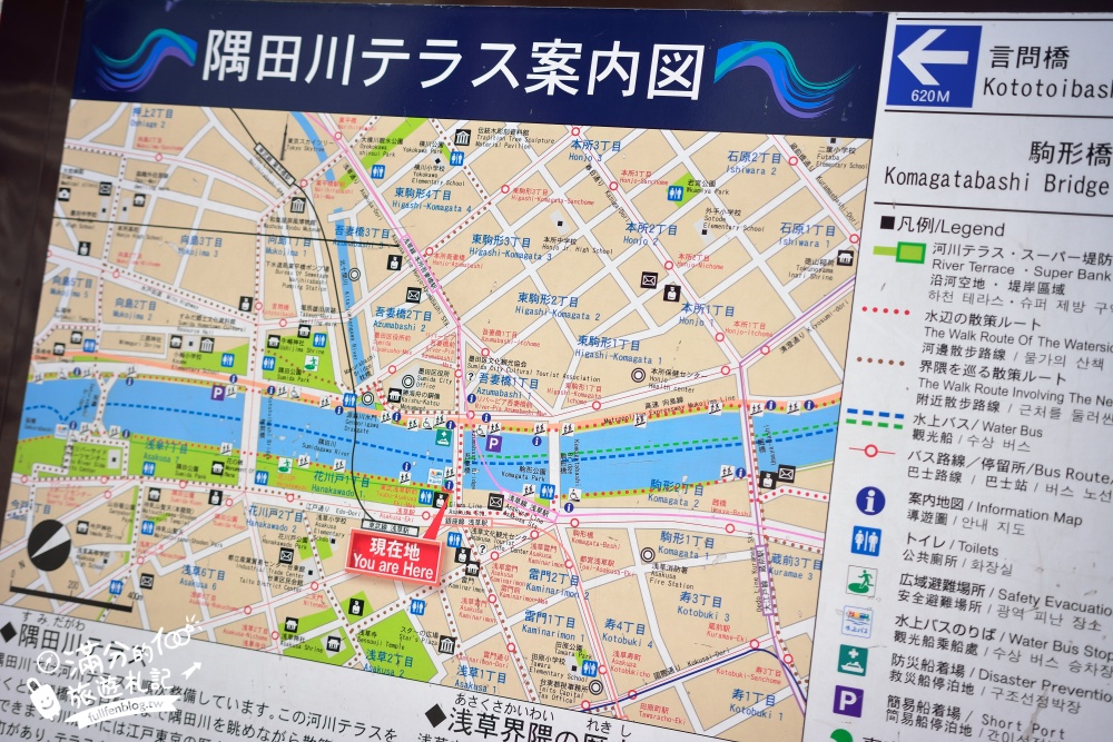 東京賞櫻景點【隅田公園】隅田川綿延一公里的櫻花大道,可順遊淺草寺&晴空塔更精彩!