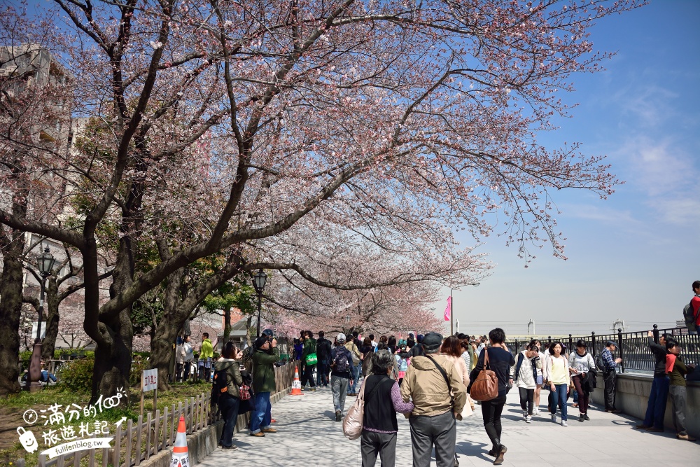 東京賞櫻景點【隅田公園】隅田川綿延一公里的櫻花大道,可順遊淺草寺&晴空塔更精彩!