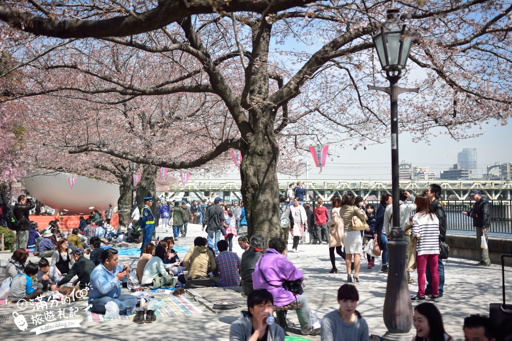 東京賞櫻景點【隅田公園】隅田川綿延一公里的櫻花大道,可順遊淺草寺&晴空塔更精彩!