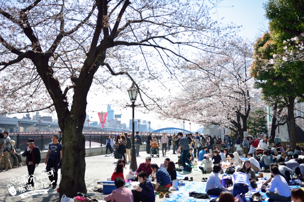 東京賞櫻景點【隅田公園】隅田川綿延一公里的櫻花大道,可順遊淺草寺&晴空塔更精彩!