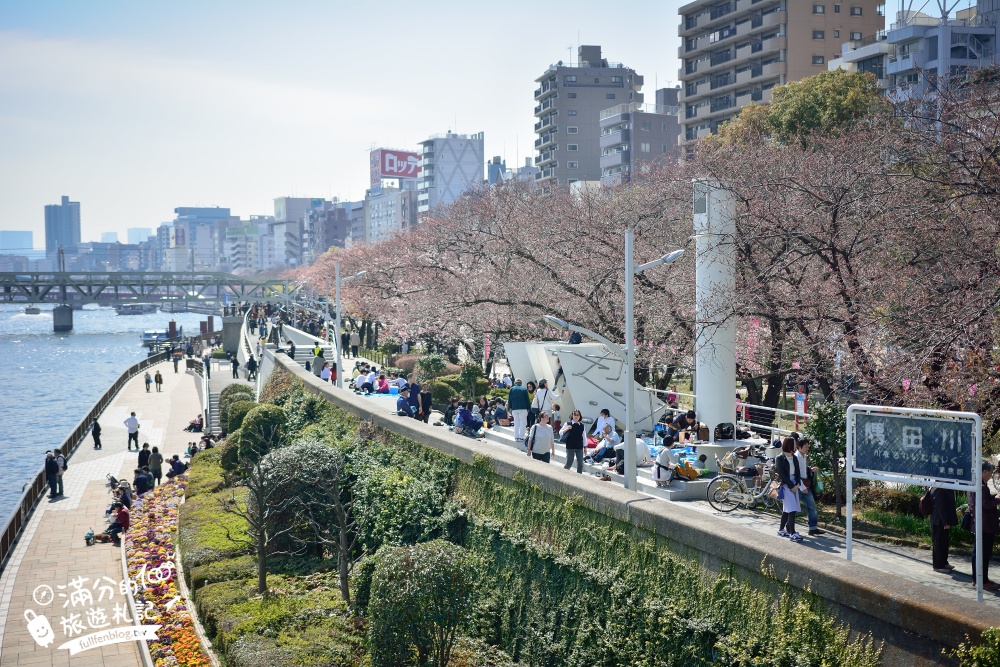 東京賞櫻景點【隅田公園】隅田川綿延一公里的櫻花大道,可順遊淺草寺&晴空塔更精彩!