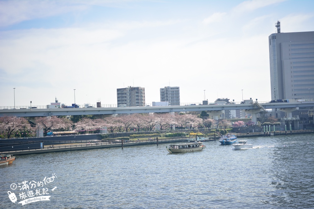 東京賞櫻景點【隅田公園】隅田川綿延一公里的櫻花大道,可順遊淺草寺&晴空塔更精彩!