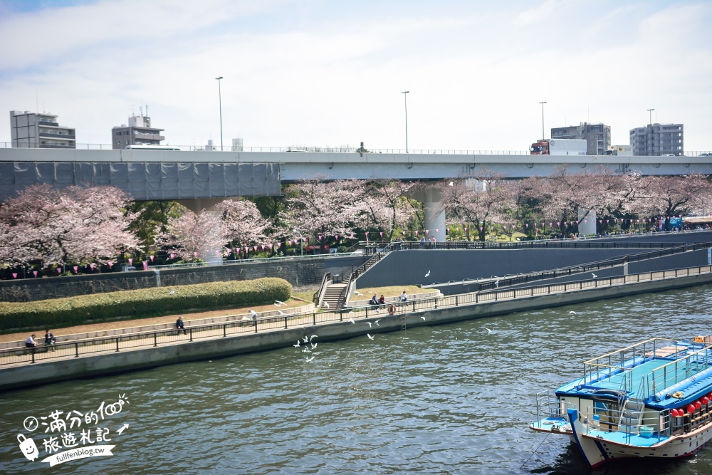 東京賞櫻景點【隅田公園】隅田川綿延一公里的櫻花大道,可順遊淺草寺&晴空塔更精彩!