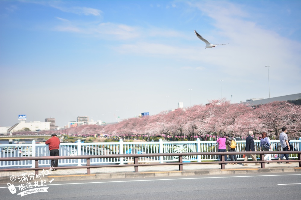 東京賞櫻景點【隅田公園】隅田川綿延一公里的櫻花大道,可順遊淺草寺&晴空塔更精彩!