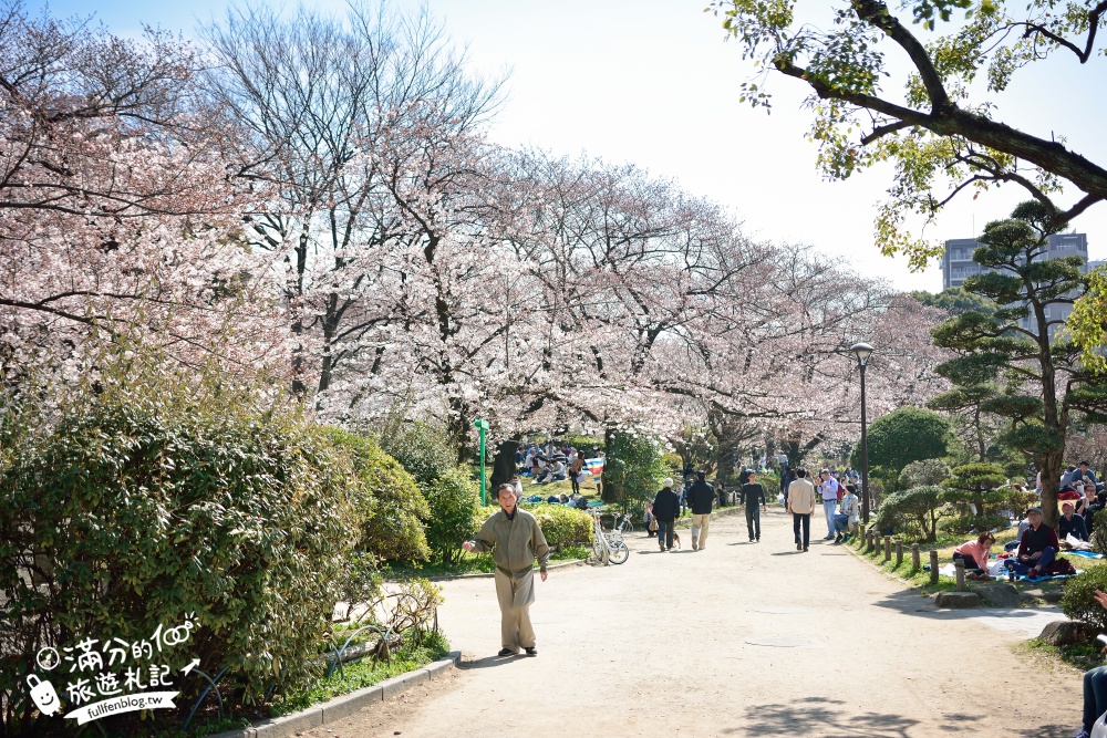東京賞櫻景點【隅田公園】隅田川綿延一公里的櫻花大道,可順遊淺草寺&晴空塔更精彩!