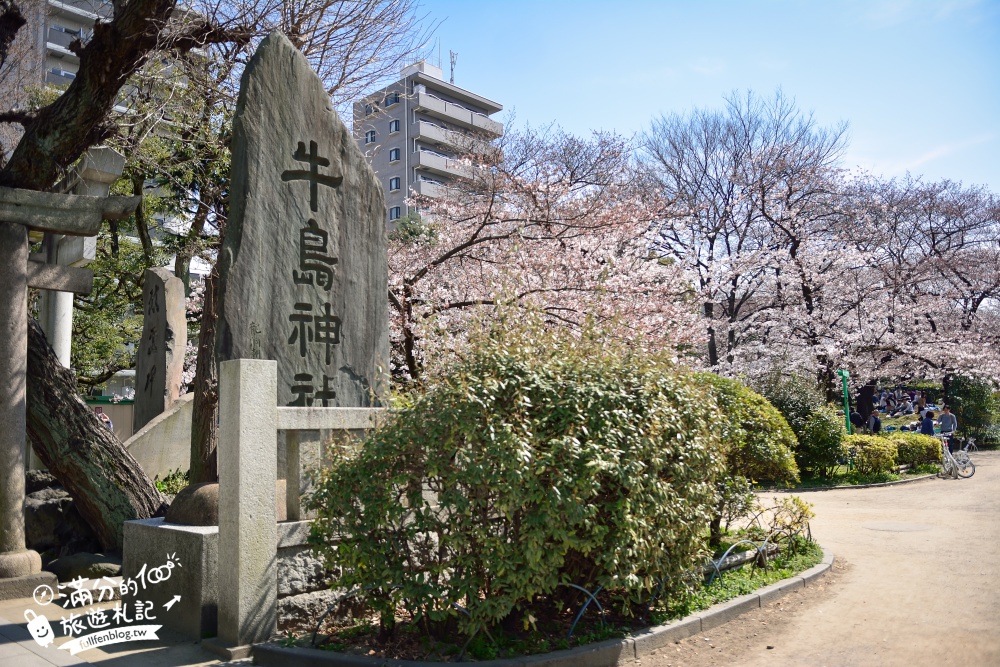 東京賞櫻景點【隅田公園】隅田川綿延一公里的櫻花大道,可順遊淺草寺&晴空塔更精彩!