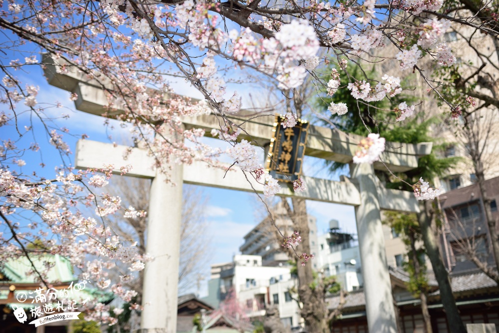 東京賞櫻景點【隅田公園】隅田川綿延一公里的櫻花大道,可順遊淺草寺&晴空塔更精彩!