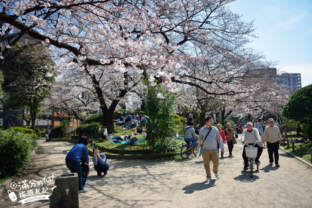 東京賞櫻景點【隅田公園】隅田川綿延一公里的櫻花大道,可順遊淺草寺&晴空塔更精彩!