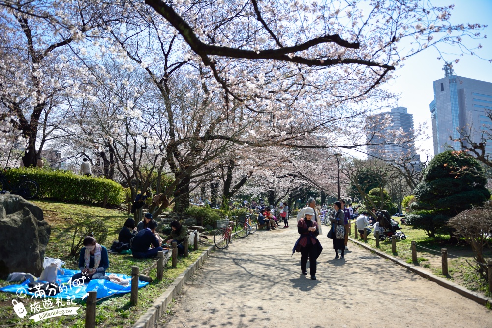 東京賞櫻景點【隅田公園】隅田川綿延一公里的櫻花大道,可順遊淺草寺&晴空塔更精彩!