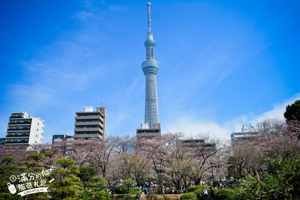 東京賞櫻景點【隅田公園】隅田川綿延一公里的櫻花大道,可順遊淺草寺&晴空塔更精彩!