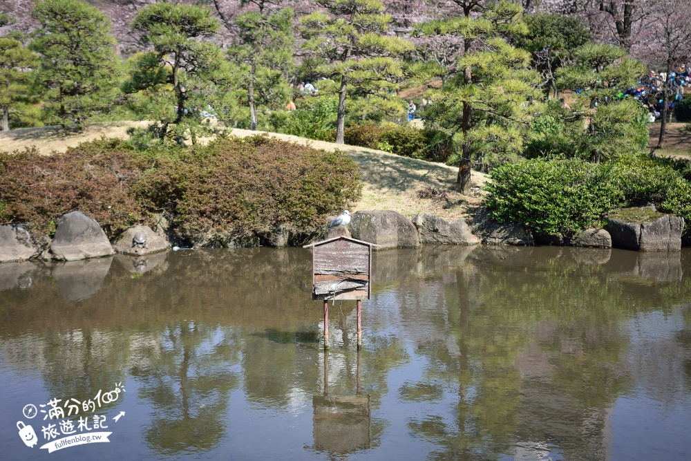 東京賞櫻景點【隅田公園】隅田川綿延一公里的櫻花大道,可順遊淺草寺&晴空塔更精彩!