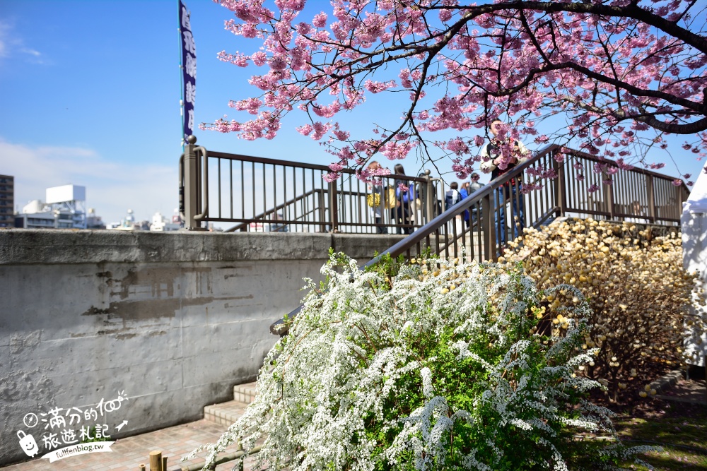 東京賞櫻景點【隅田公園】隅田川綿延一公里的櫻花大道,可順遊淺草寺&晴空塔更精彩!
