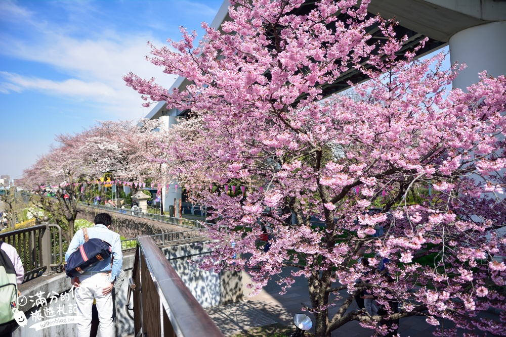 東京賞櫻景點【隅田公園】隅田川綿延一公里的櫻花大道,可順遊淺草寺&晴空塔更精彩!