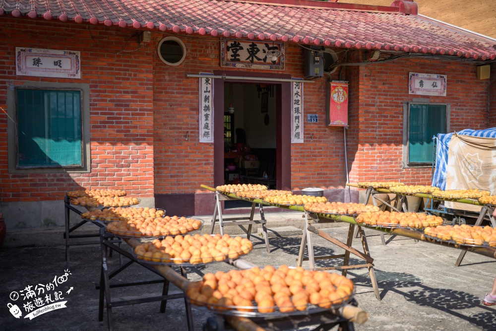 新竹【味衛佳柿餅觀光農場】新竹秋冬限定金黃曬柿海，免費參觀，放柿海包圍啦～最佳拍攝時間與交通攻略！