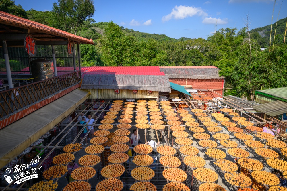 新竹【味衛佳柿餅觀光農場】新竹秋冬限定金黃曬柿海，免費參觀，放柿海包圍啦～最佳拍攝時間與交通攻略！