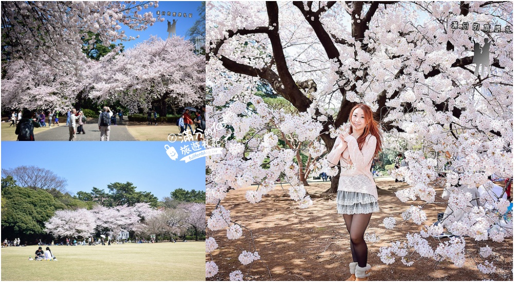 東京櫻花人氣景點【新宿御苑】東京第一名賞櫻名所.東京野餐賞櫻的最佳勝地.被櫻花林包圍好幸福! @滿分的旅遊札記