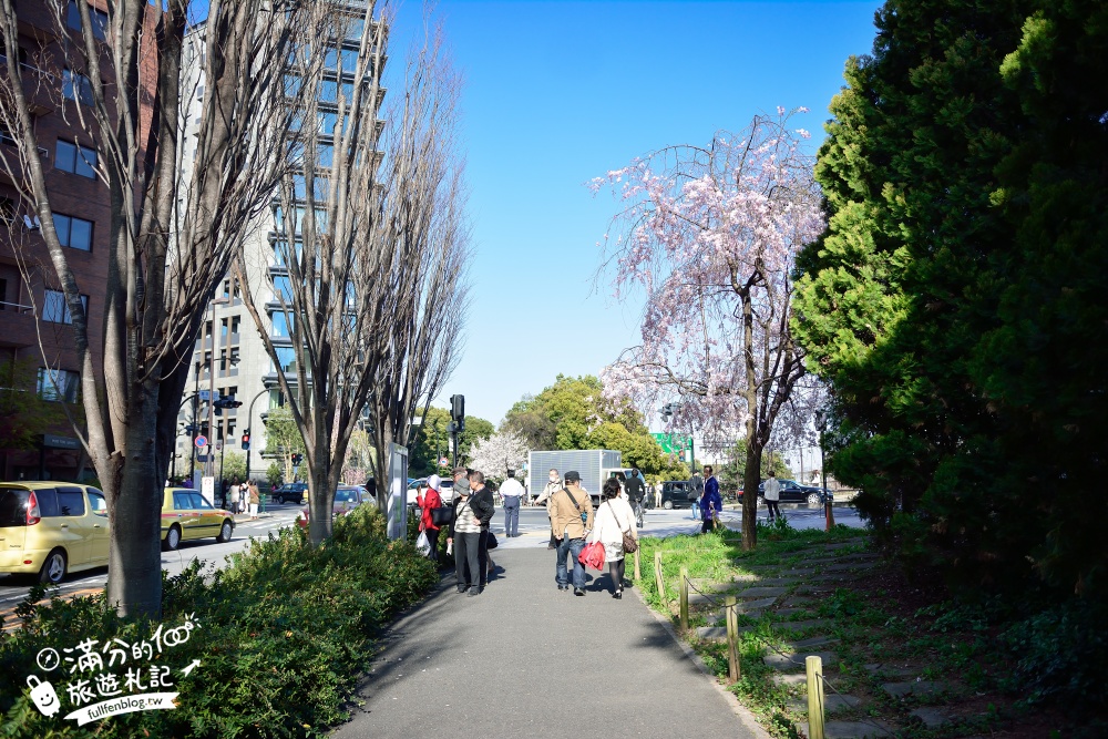 【東京櫻花推薦】千鳥之淵公園&北之丸公園櫻花季.被粉嫩櫻花包圍的夢幻湖畔!