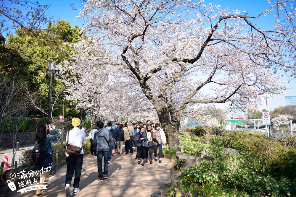 【東京櫻花推薦】千鳥之淵公園&北之丸公園櫻花季.被粉嫩櫻花包圍的夢幻湖畔!