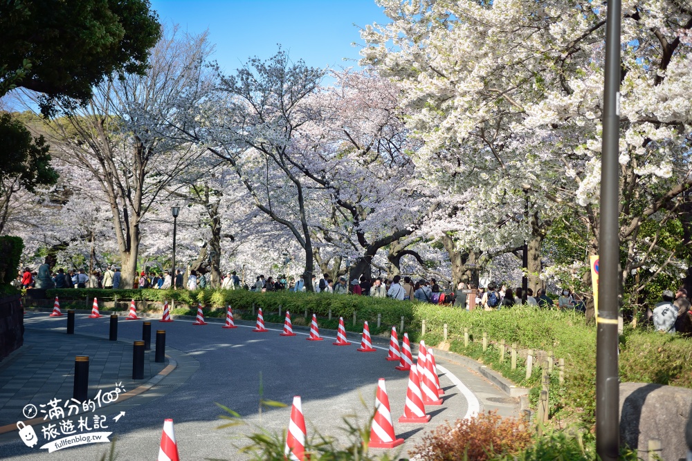 【東京櫻花推薦】千鳥之淵公園&北之丸公園櫻花季.被粉嫩櫻花包圍的夢幻湖畔!
