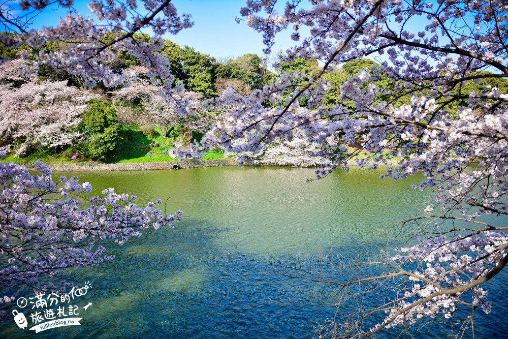 【東京櫻花推薦】千鳥之淵公園&北之丸公園櫻花季.被粉嫩櫻花包圍的夢幻湖畔!