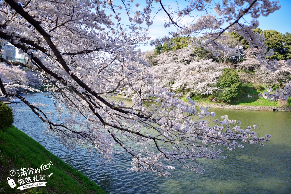 【東京櫻花推薦】千鳥之淵公園&北之丸公園櫻花季.被粉嫩櫻花包圍的夢幻湖畔!
