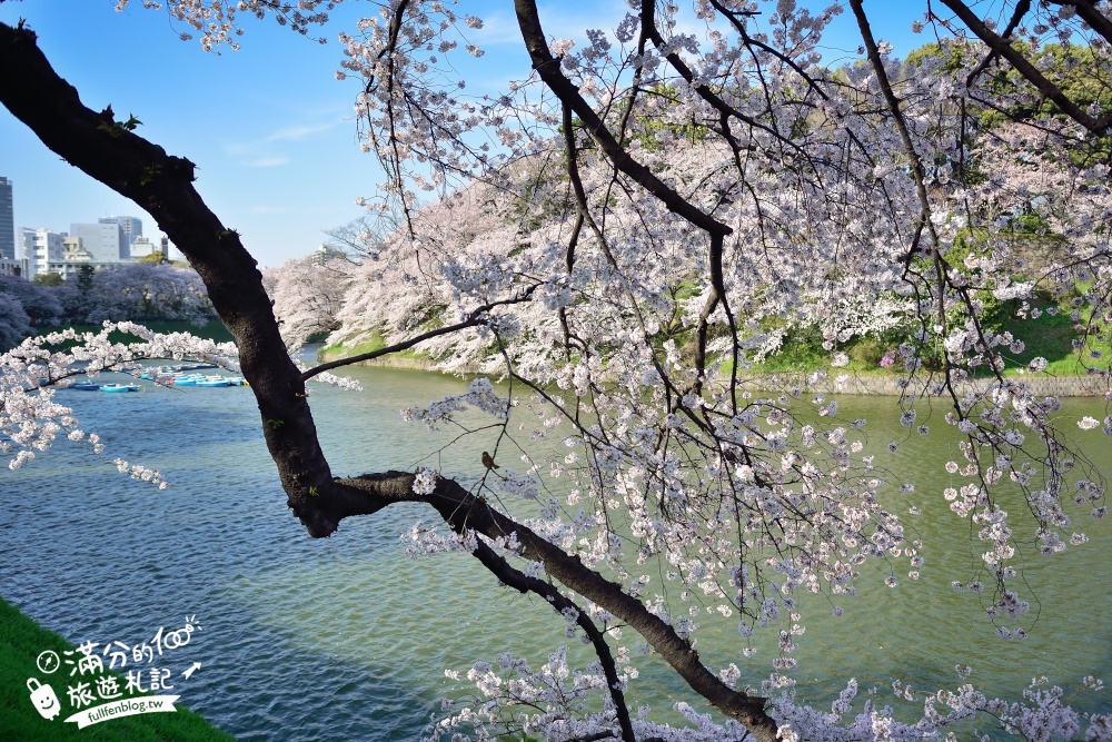 【東京櫻花推薦】千鳥之淵公園&北之丸公園櫻花季.被粉嫩櫻花包圍的夢幻湖畔!