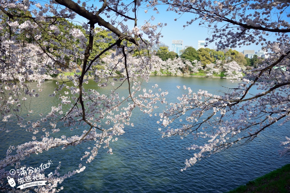 【東京櫻花推薦】千鳥之淵公園&北之丸公園櫻花季.被粉嫩櫻花包圍的夢幻湖畔!