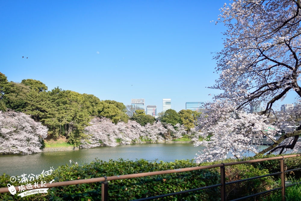 【東京櫻花推薦】千鳥之淵公園&北之丸公園櫻花季.被粉嫩櫻花包圍的夢幻湖畔!