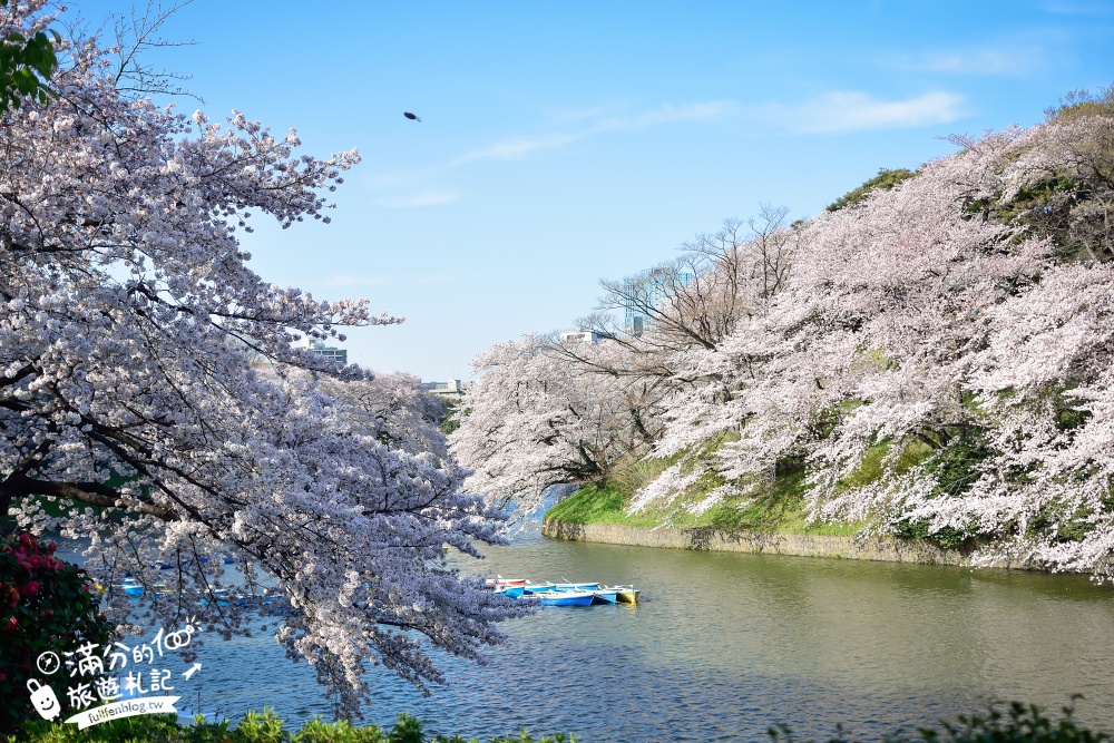 【東京櫻花推薦】千鳥之淵公園&北之丸公園櫻花季.被粉嫩櫻花包圍的夢幻湖畔!