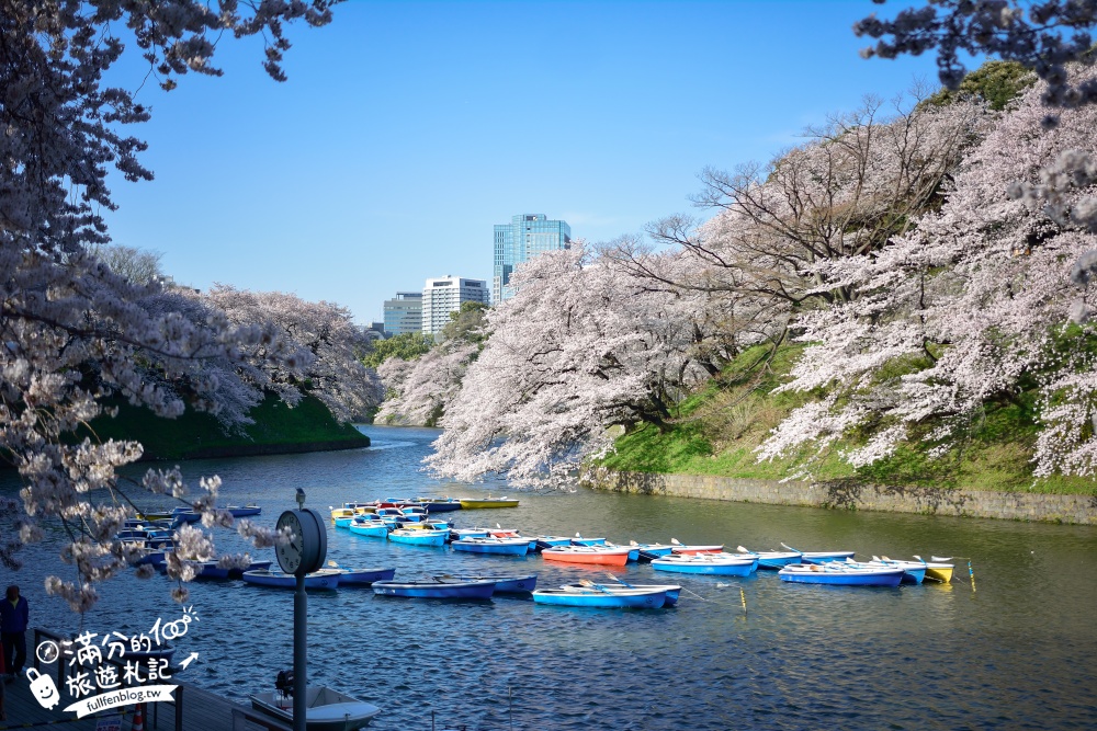 【東京櫻花推薦】千鳥之淵公園&北之丸公園櫻花季.被粉嫩櫻花包圍的夢幻湖畔!