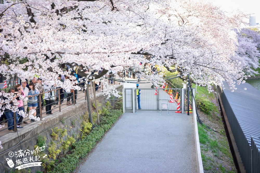 【東京櫻花推薦】千鳥之淵公園&北之丸公園櫻花季.被粉嫩櫻花包圍的夢幻湖畔!