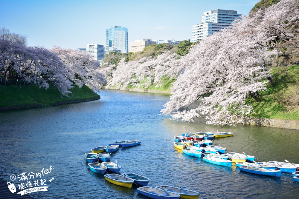 【東京櫻花推薦】千鳥之淵公園&北之丸公園櫻花季.被粉嫩櫻花包圍的夢幻湖畔!
