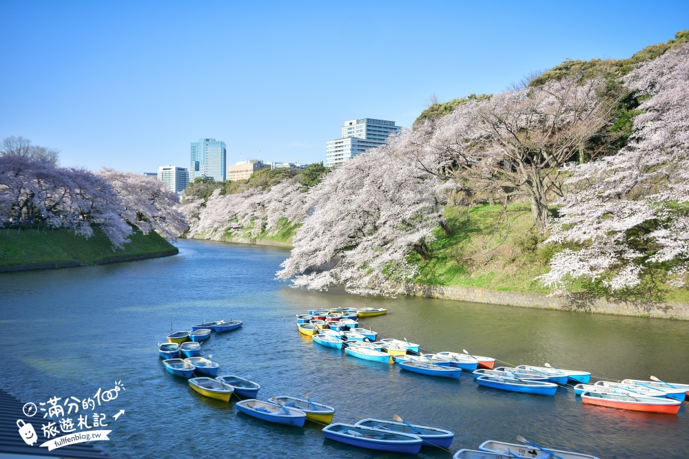 【東京櫻花推薦】千鳥之淵公園&北之丸公園櫻花季.被粉嫩櫻花包圍的夢幻湖畔!