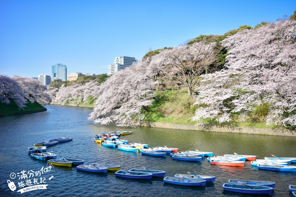 【東京櫻花推薦】千鳥之淵公園&北之丸公園櫻花季.被粉嫩櫻花包圍的夢幻湖畔!