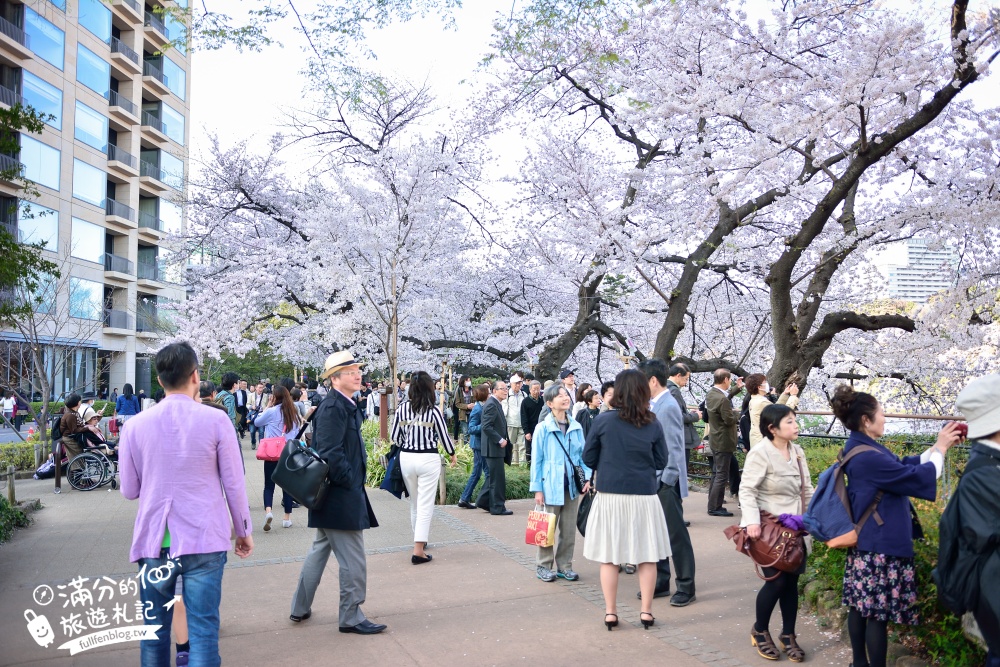 【東京櫻花推薦】千鳥之淵公園&北之丸公園櫻花季.被粉嫩櫻花包圍的夢幻湖畔!