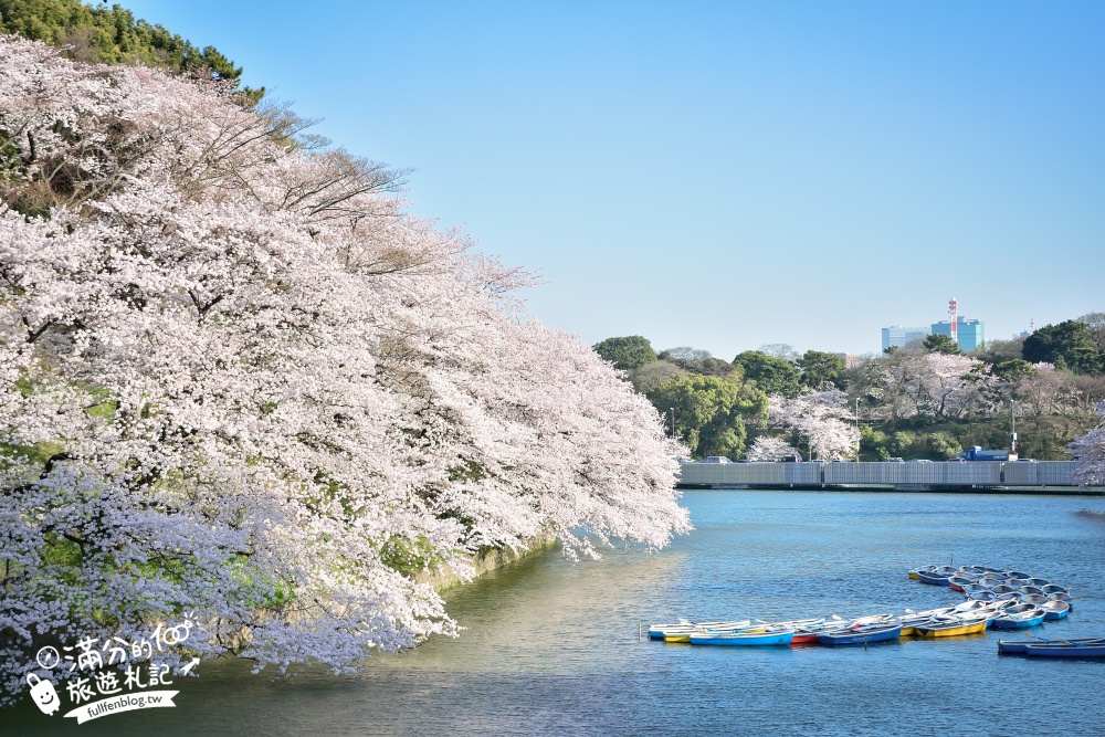 【東京櫻花推薦】千鳥之淵公園&北之丸公園櫻花季.被粉嫩櫻花包圍的夢幻湖畔!