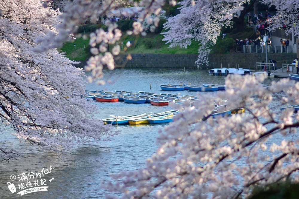 【東京櫻花推薦】千鳥之淵公園&北之丸公園櫻花季.被粉嫩櫻花包圍的夢幻湖畔!