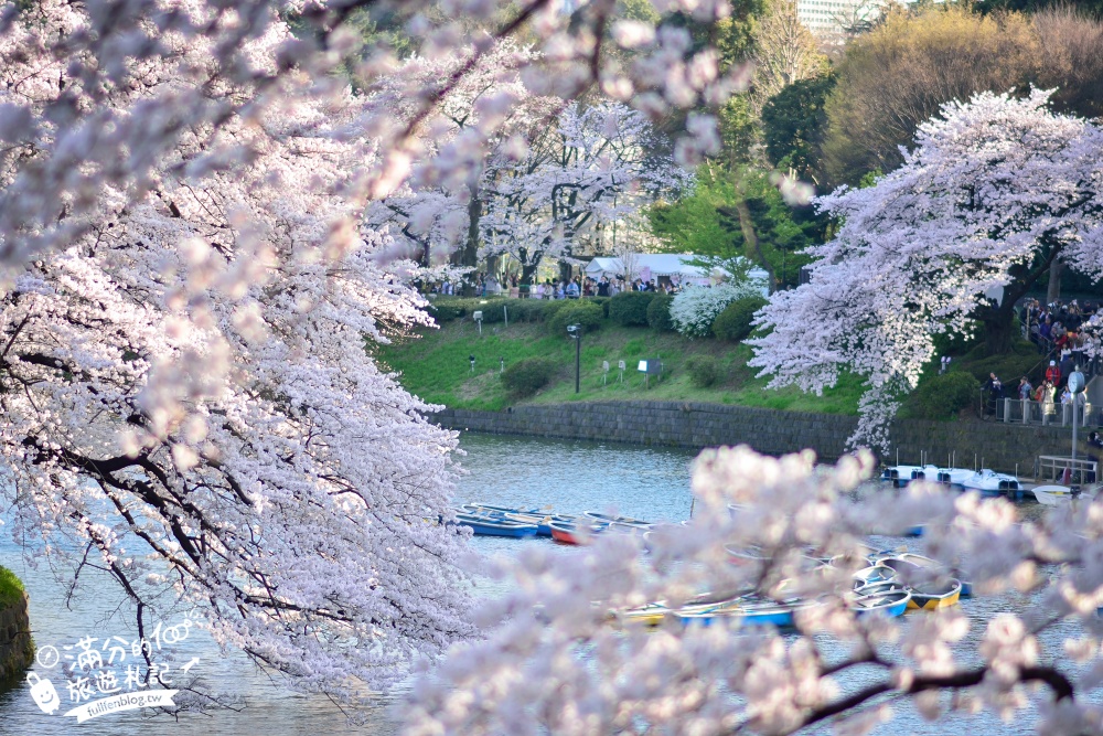 【東京櫻花推薦】千鳥之淵公園&北之丸公園櫻花季.被粉嫩櫻花包圍的夢幻湖畔!