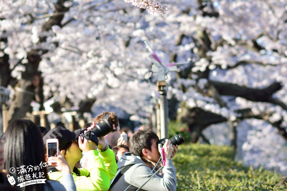 【東京櫻花推薦】千鳥之淵公園&北之丸公園櫻花季.被粉嫩櫻花包圍的夢幻湖畔!