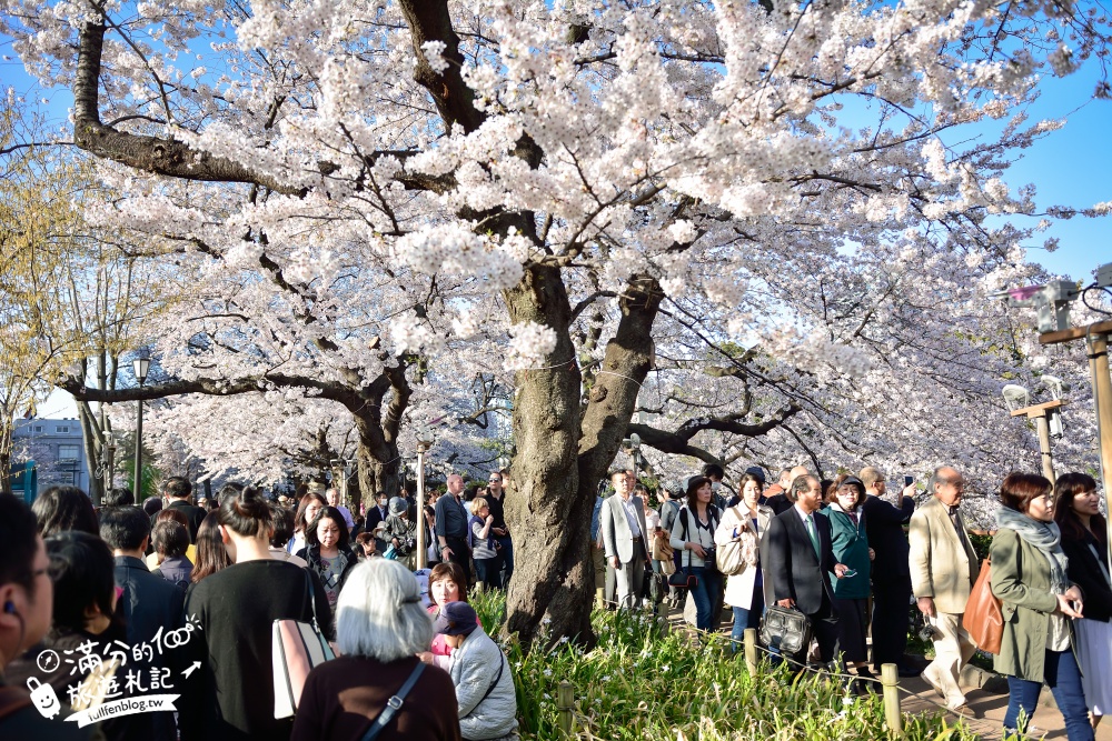 【東京櫻花推薦】千鳥之淵公園&北之丸公園櫻花季.被粉嫩櫻花包圍的夢幻湖畔!