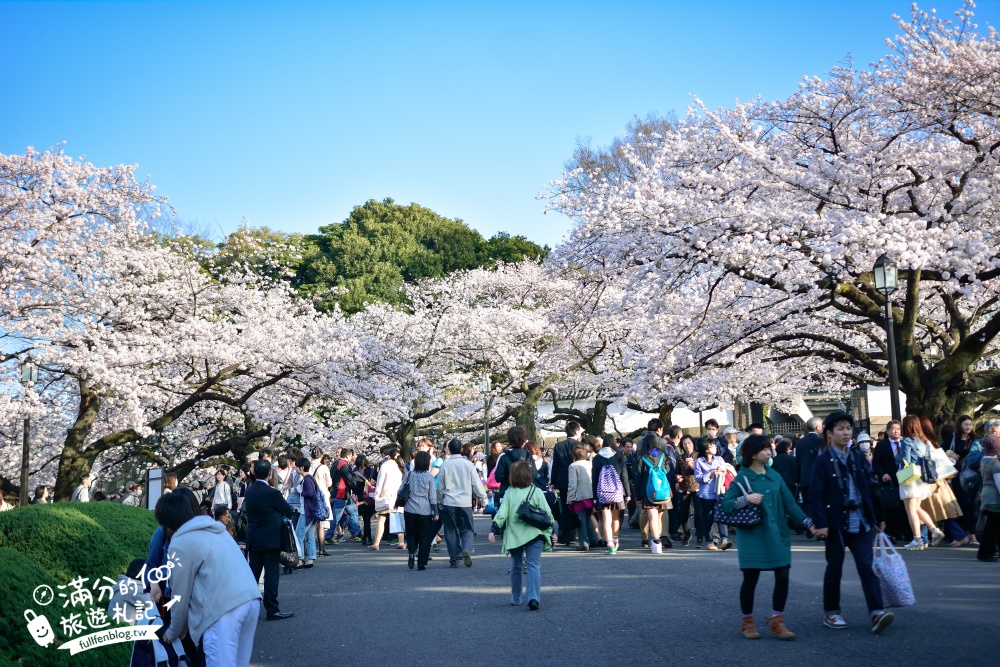 【東京櫻花推薦】千鳥之淵公園&北之丸公園櫻花季.被粉嫩櫻花包圍的夢幻湖畔!