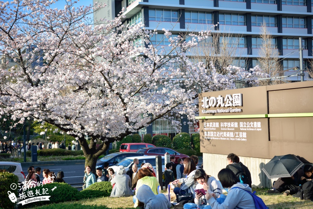 【東京櫻花推薦】千鳥之淵公園&北之丸公園櫻花季.被粉嫩櫻花包圍的夢幻湖畔!